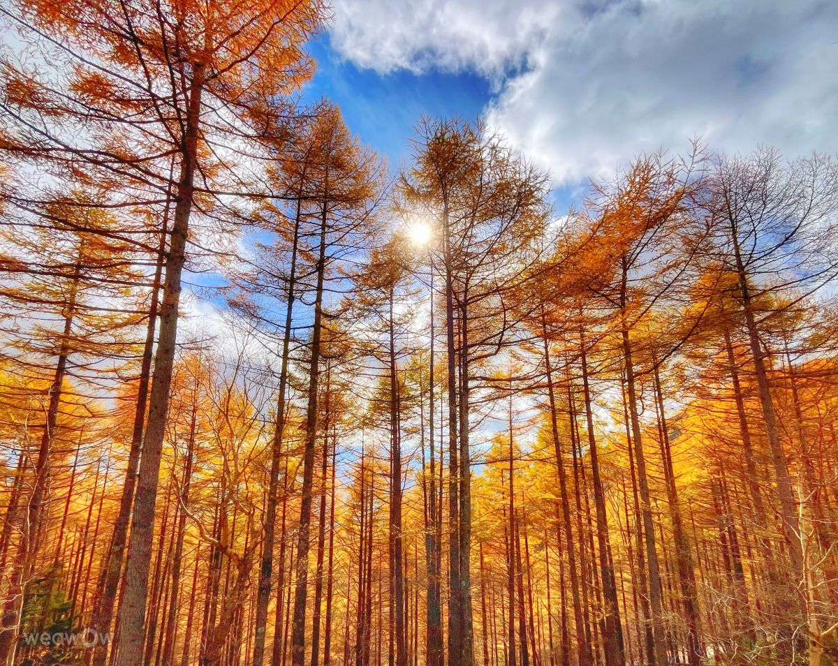 Weather Photos in Japan. Weather forecasts with beautiful photos by Kasumisou