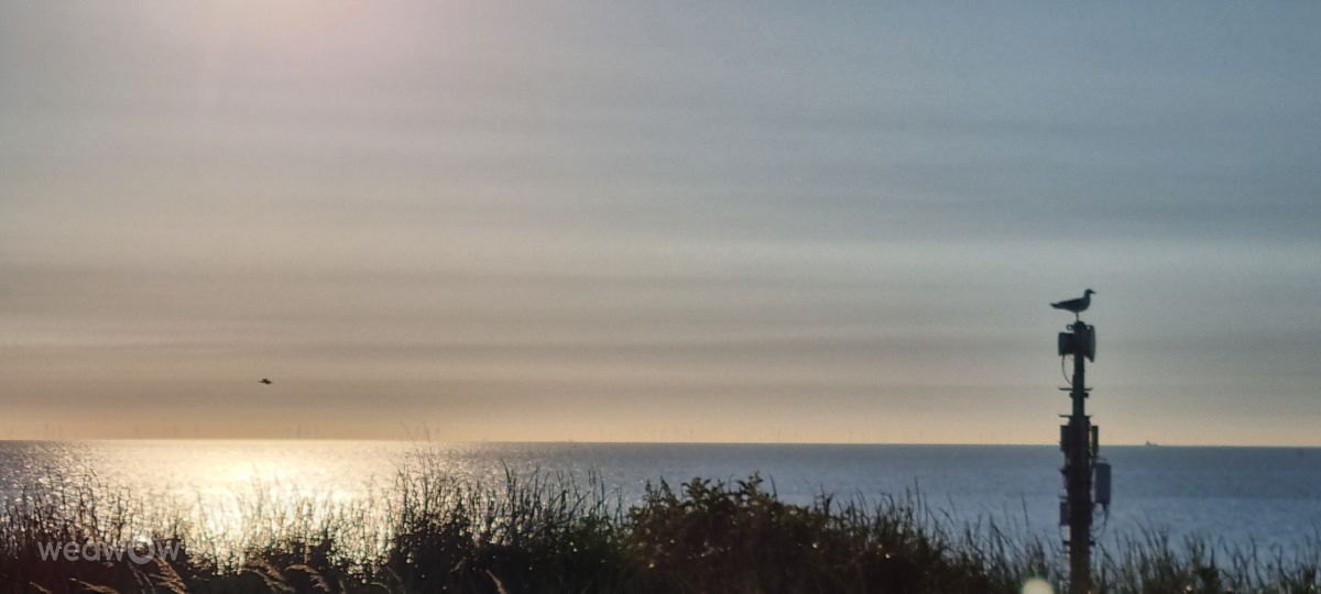 Photographer DaB, Weather Photos in Domburg - Weawow