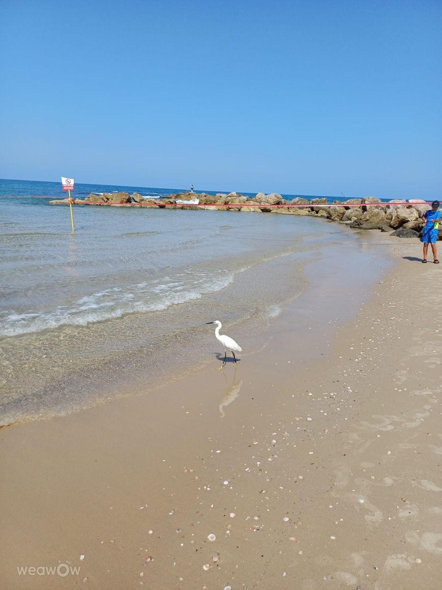 Fotos sobre el clima en Bat Yam. Pronósticos del tiempo con hermosas fotos de Zaza
