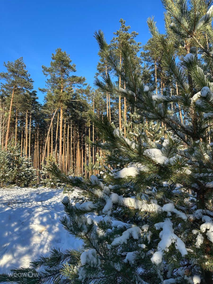 Fotos do tempo em Irpin. Previsões do tempo com lindas fotos de Інна