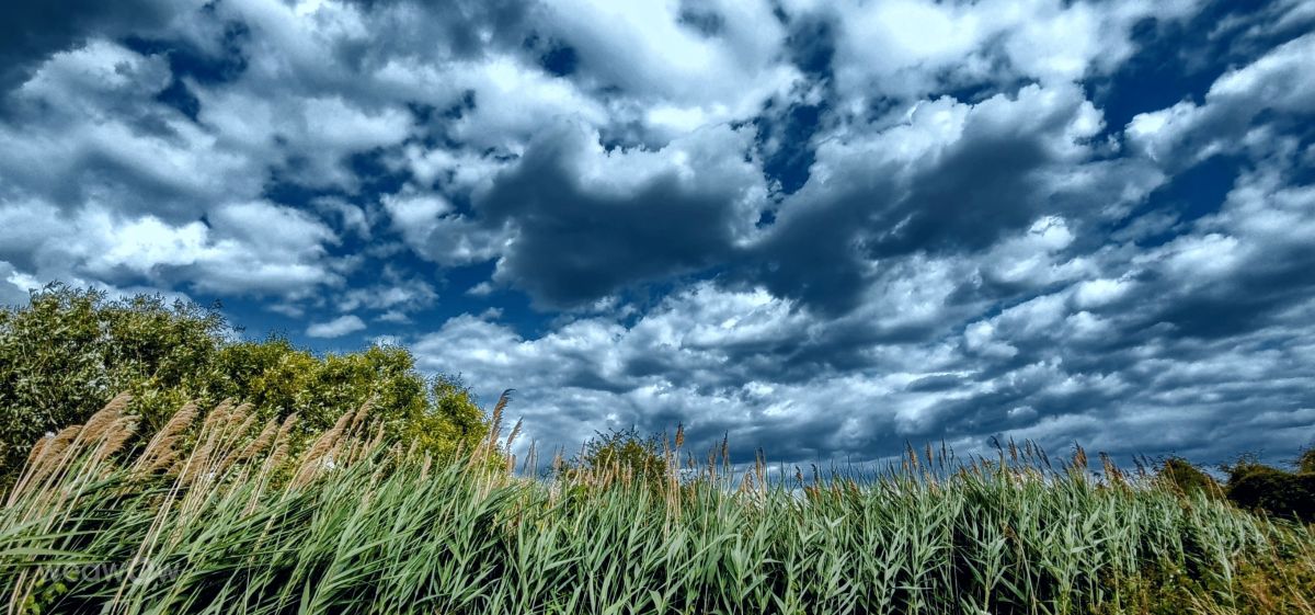 Weather forecasts with beautiful photos by kns666