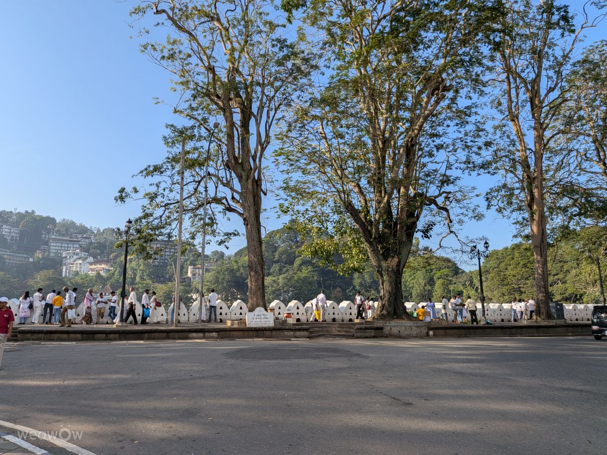 Weather Photos in Sri Lanka. Weather forecasts with beautiful photos by lunatibi