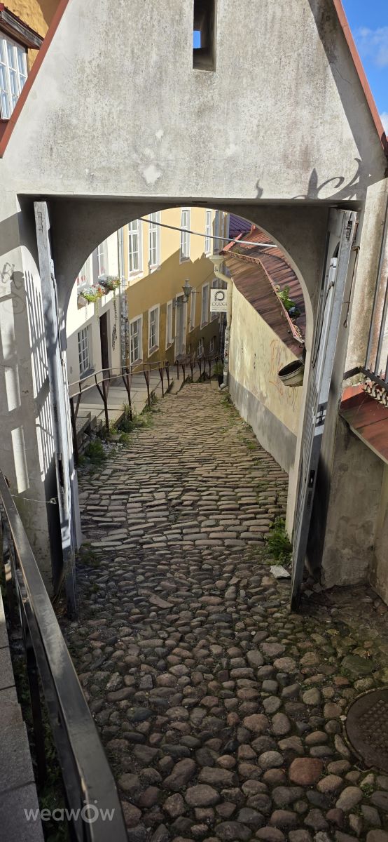 Prévisions météo avec de superbes photos de Mircea