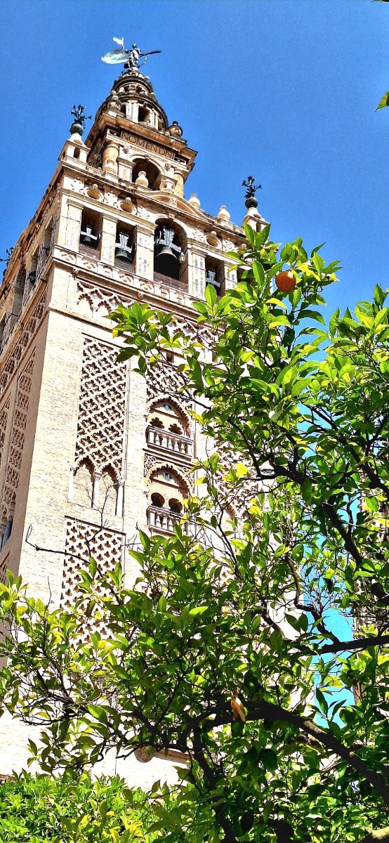 Nhiếp ảnh gia Geo23, Hình ảnh Thời tiết ở Sevilla - Weawow