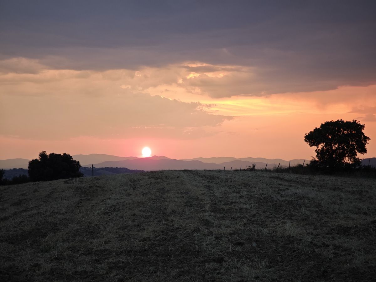 Wettervorhersagen mit schönen Fotos von Kasalinde