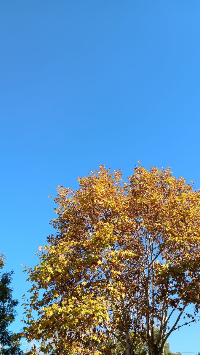 Weather Photos in Quilmes. Weather forecasts with beautiful photos by PabloM
