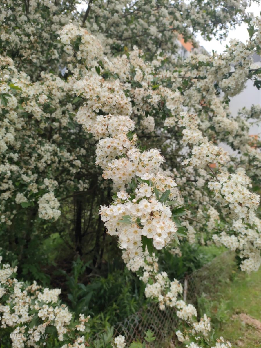 Фотографии Погоды в Ломжа. Прогнозы погоды с чудесными фотографиями, сделанными Ania-12