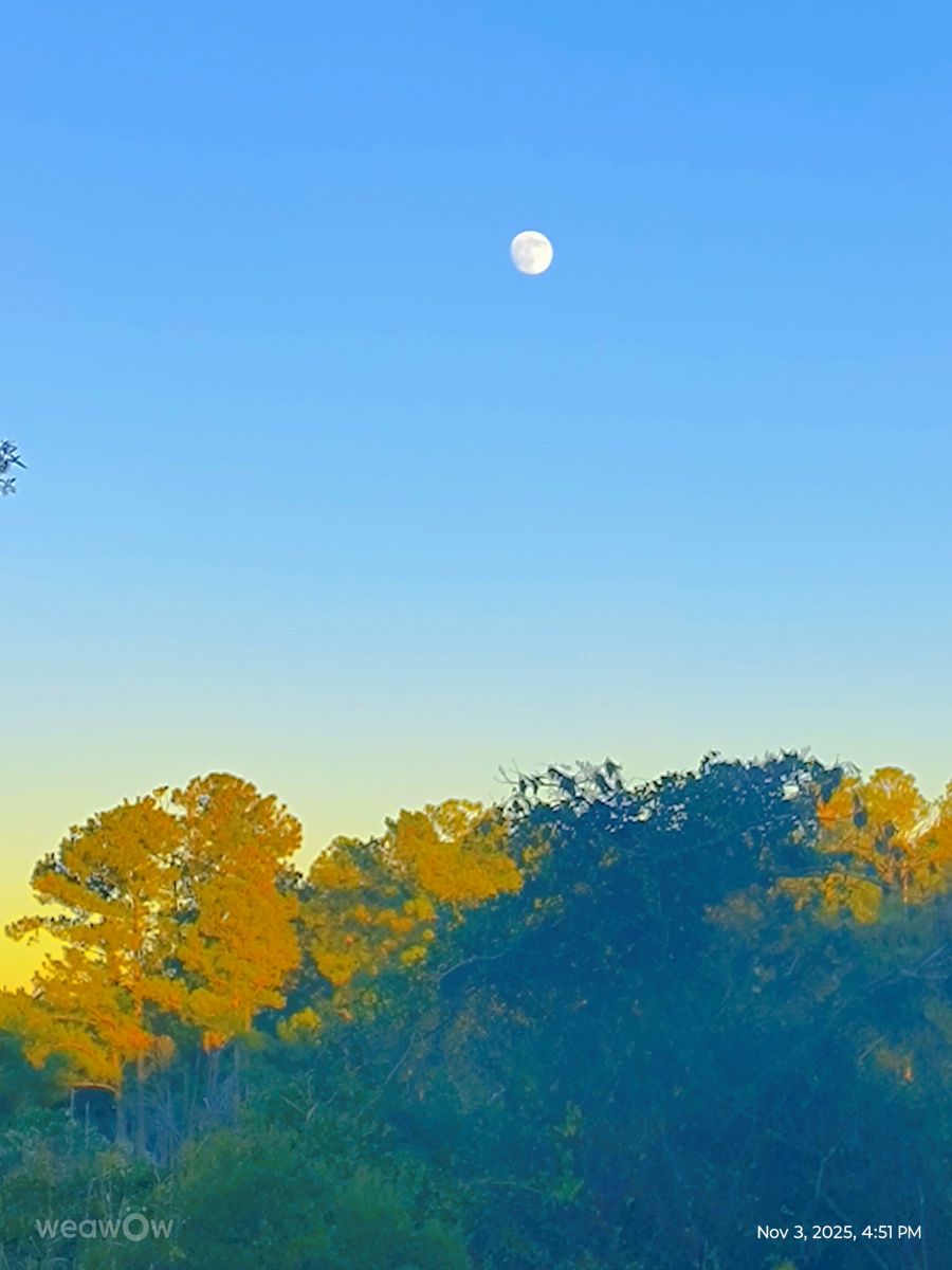 Photos météo à North Carolina. Prévisions météo avec de superbes photos de EZ1