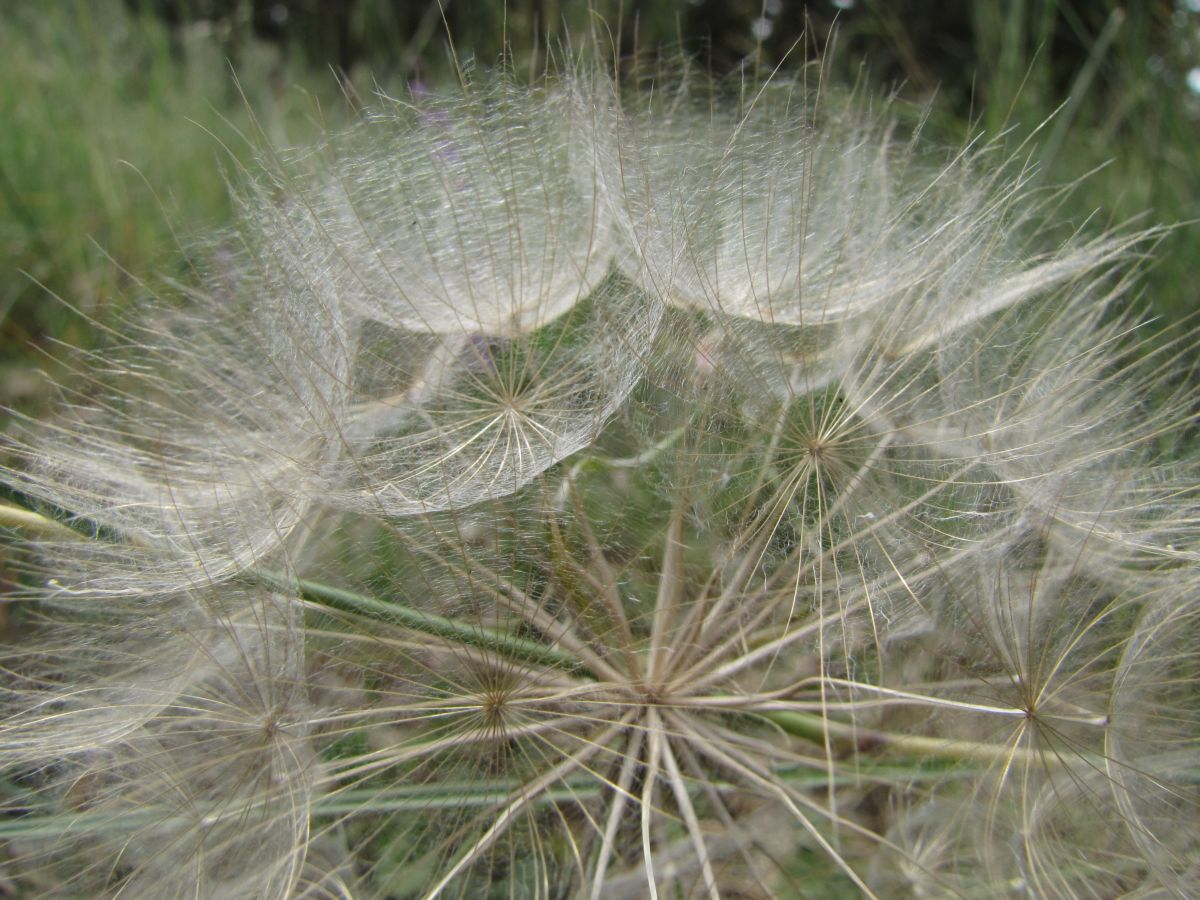 Prévisions météo avec de superbes photos de Sviatoslav