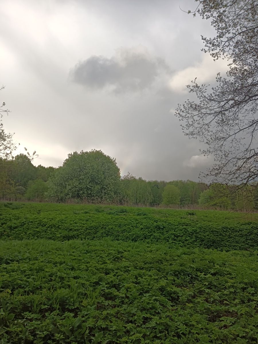 Photographer Amanda_and_Valdemar_Che, Weather Photos in Izmaylovo District - Weawow