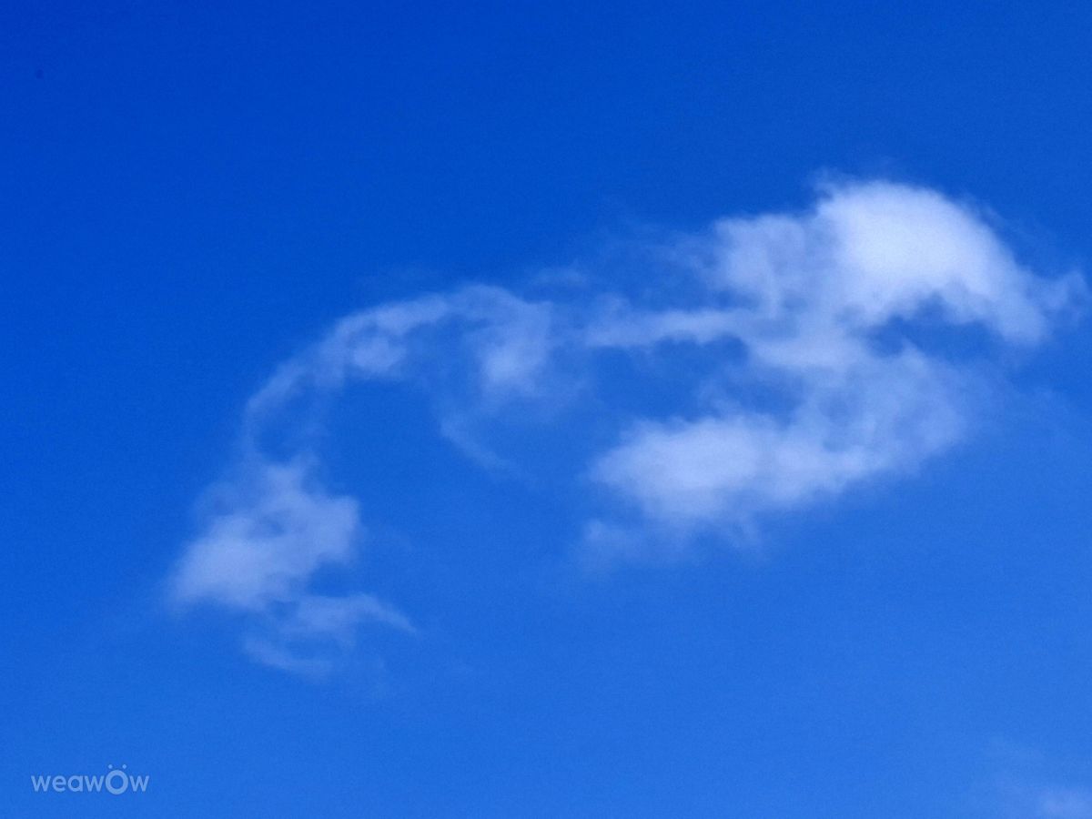 Фотографии Погоды в Kaohsiung City. Прогнозы погоды с чудесными фотографиями, сделанными Wen-ya Huang