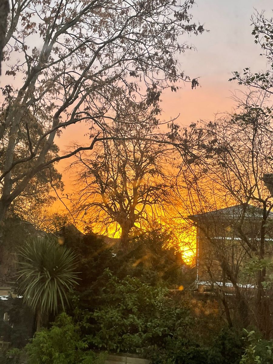 Weather Photos in Lyne Lane. Weather forecasts with beautiful photos by Petewhites