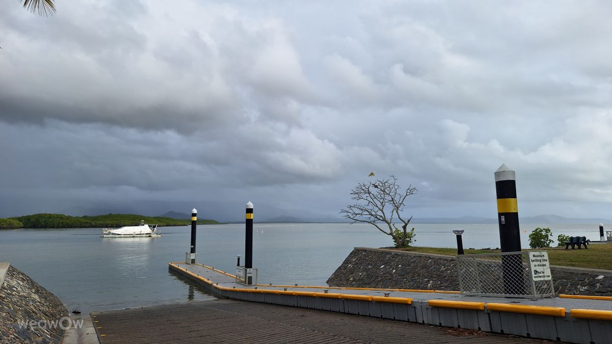 Weather forecasts with beautiful photos by bats