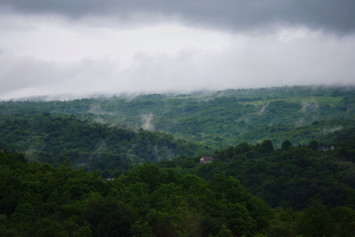 ロシアの天気写真. Zarrazaの美しい写真による天気予報