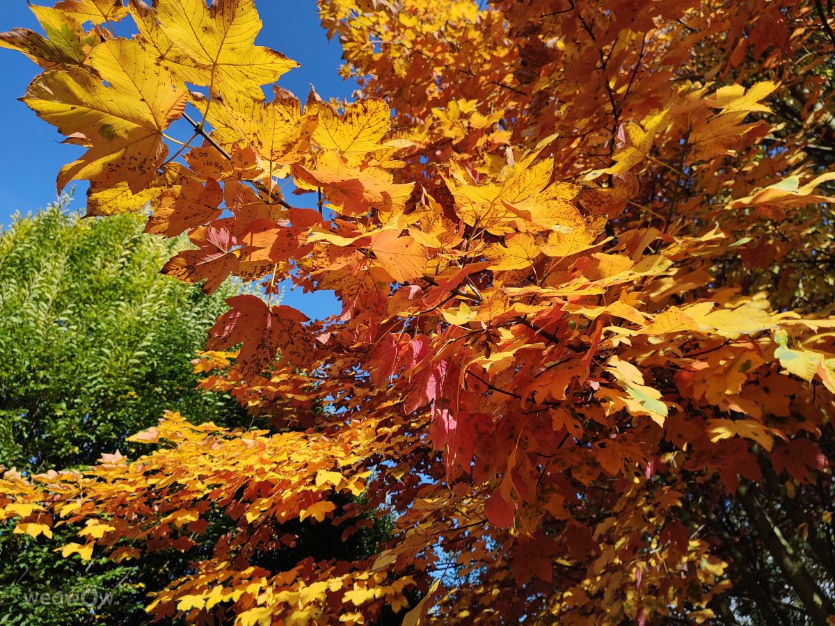 Fotos do tempo em Česká Třebová. Previsões do tempo com lindas fotos de drollted