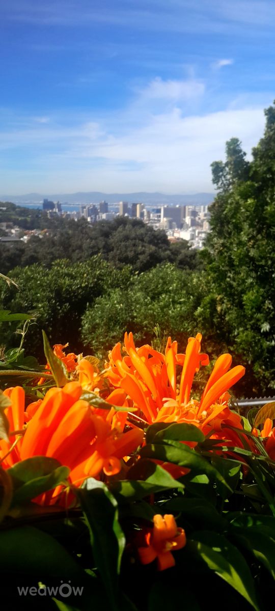 Weather Photos in South Africa. Weather forecasts with beautiful photos by AceMentora