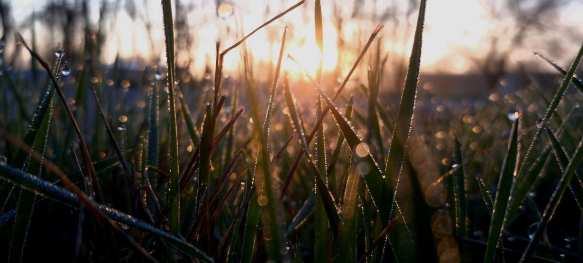 Fotos do tempo em Armavir. Previsões do tempo com lindas fotos de pprrhh