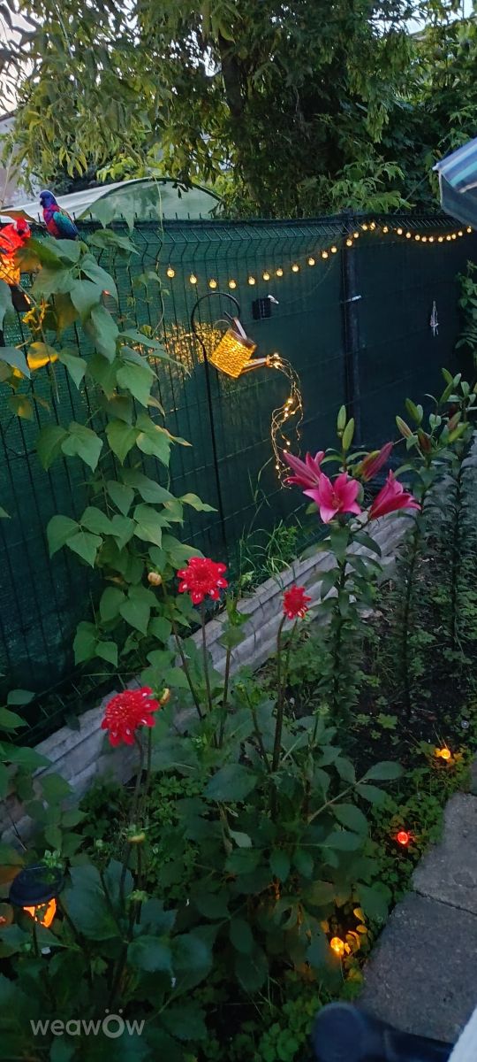 Fotos do tempo em Orzysz. Previsões do tempo com lindas fotos de Joanna Taci