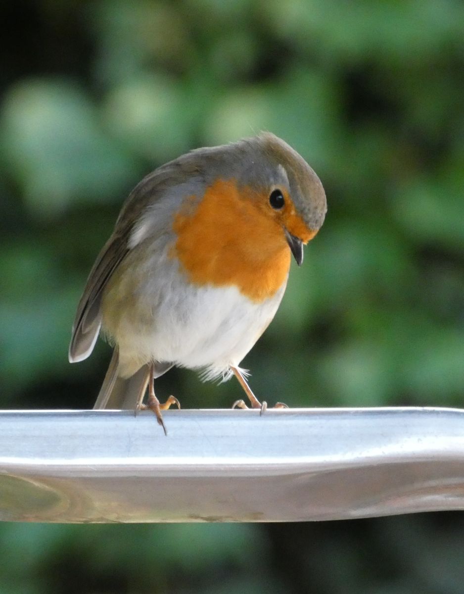 Фотограф fwerner, Фотографии Погоды в Нижняя Саксония - Weawow