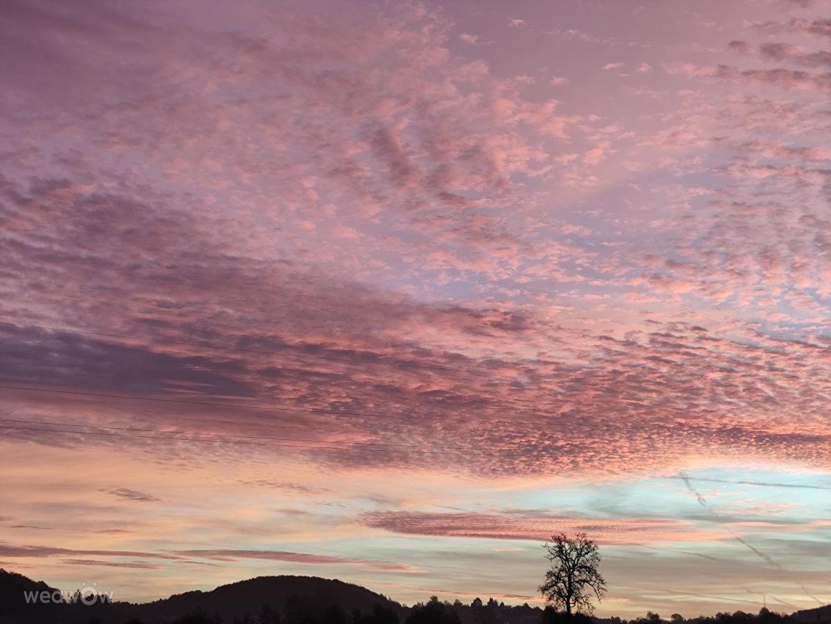 摄影师 Brtd，Allersberg的天气照片 - Weawow