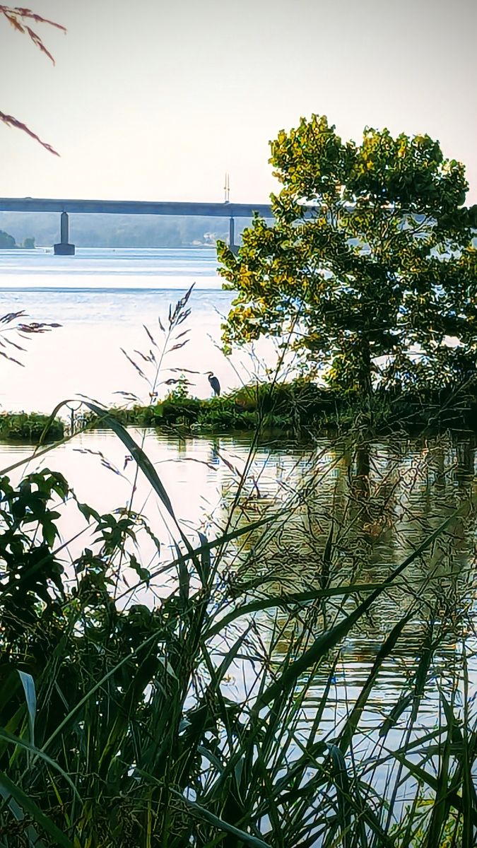 阿肯色州的天气照片. 天气预报，带Jonandy精美的照片