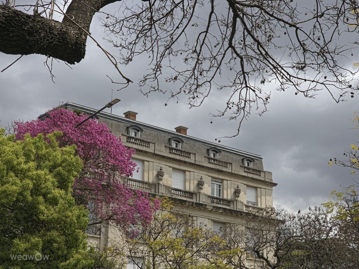 Pronósticos del tiempo con hermosas fotos de gzsato
