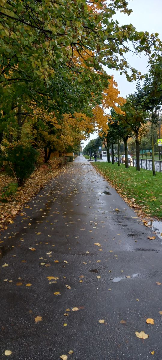 Fotógrafo Prohojiy, Fotos sobre el clima en Pushkin - Weawow