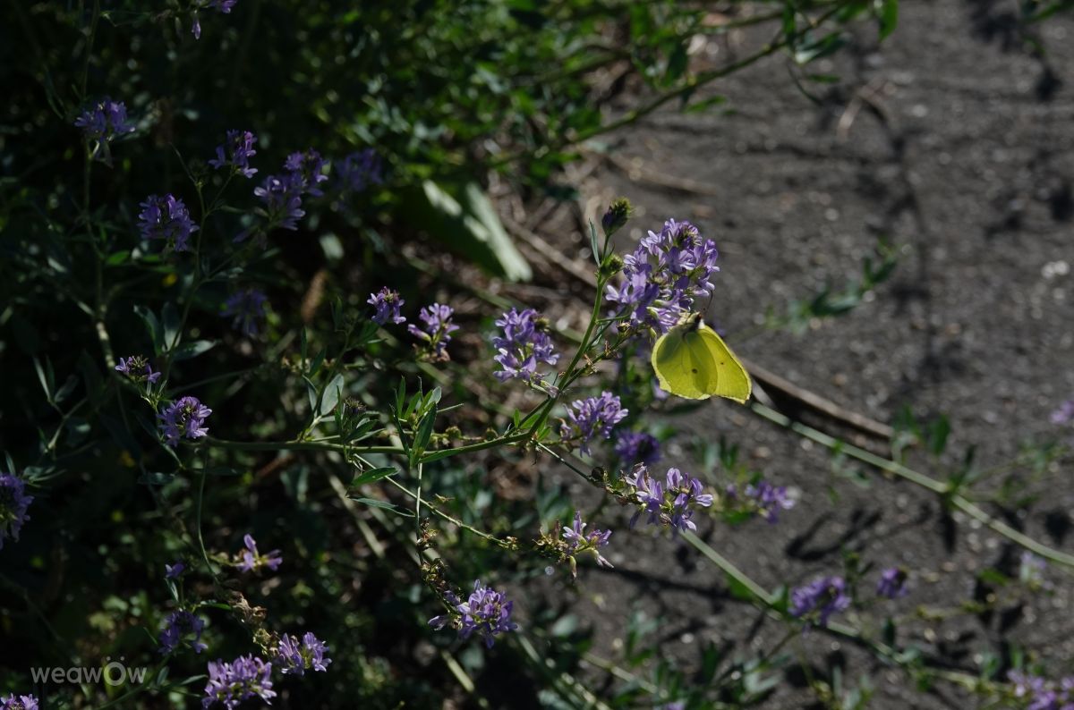 Fotos do tempo em Praha 12. Previsões do tempo com lindas fotos de Vasek325