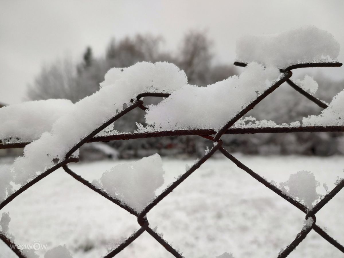 Fotografos drollted, Fotos do tempo em Česká Třebová - Weawow