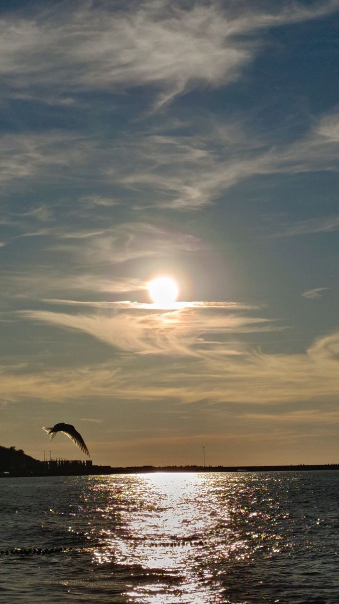 Wettervorhersagen mit schönen Fotos von Михаил Бондаренко