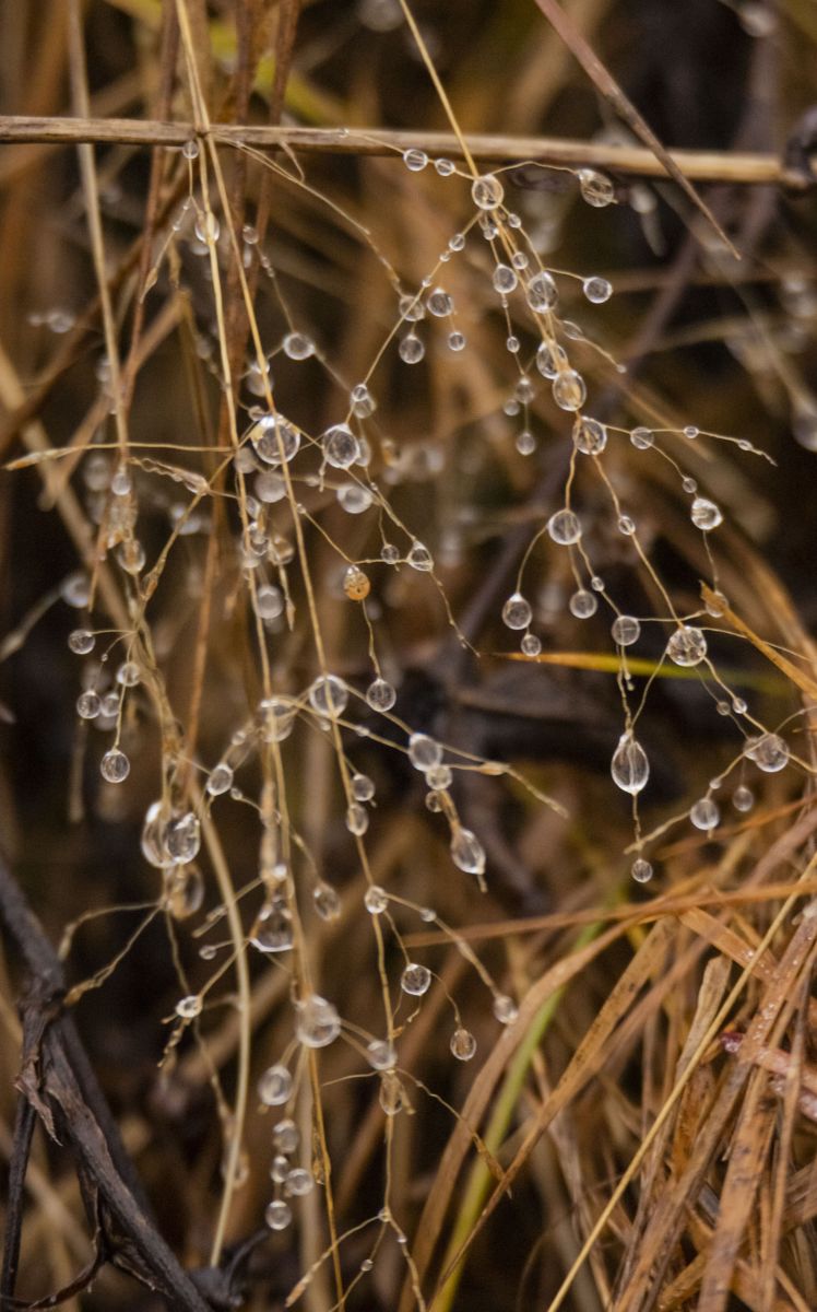 Wettervorhersagen mit schönen Fotos von Nymph542