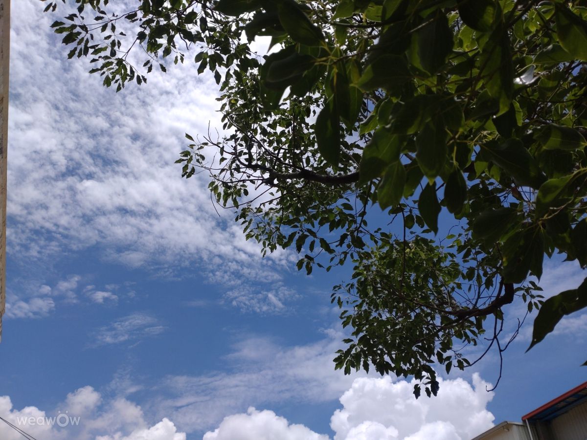 Photographer Wen-ya Huang, Weather Photos in Kaohsiung City - Weawow