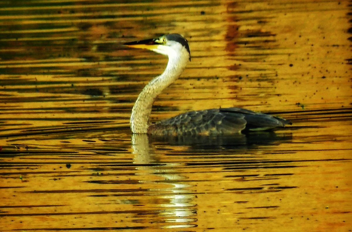 Photos météo à Greenfield. Prévisions météo avec de superbes photos de Traci-McD