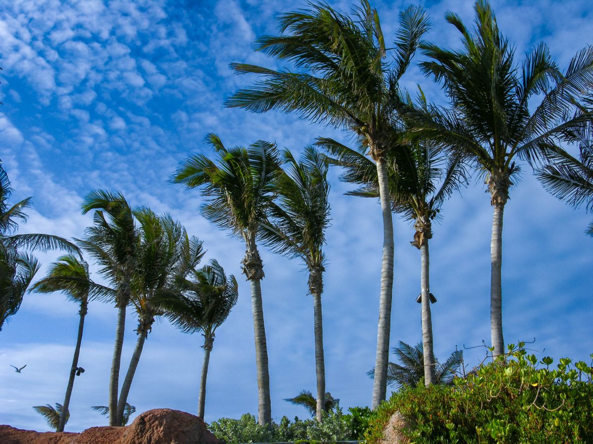 Weather Photos in Bahamas. Weather forecasts with beautiful photos by GrainyBlues