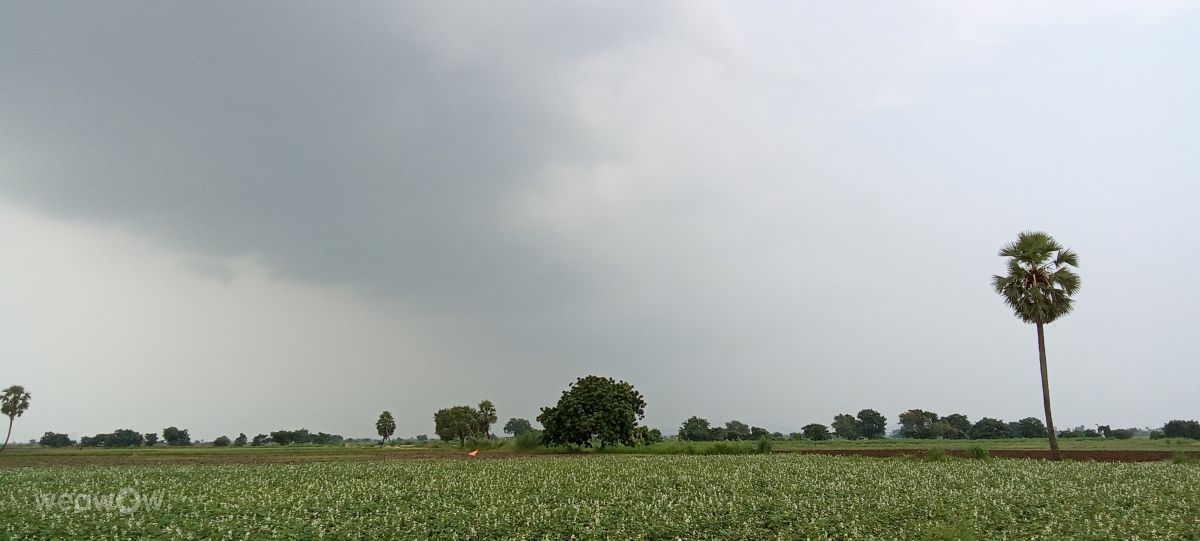 アーンドラ・プラデーシュ州の天気写真. Imadabattini Bosu Babuの美しい写真による天気予報