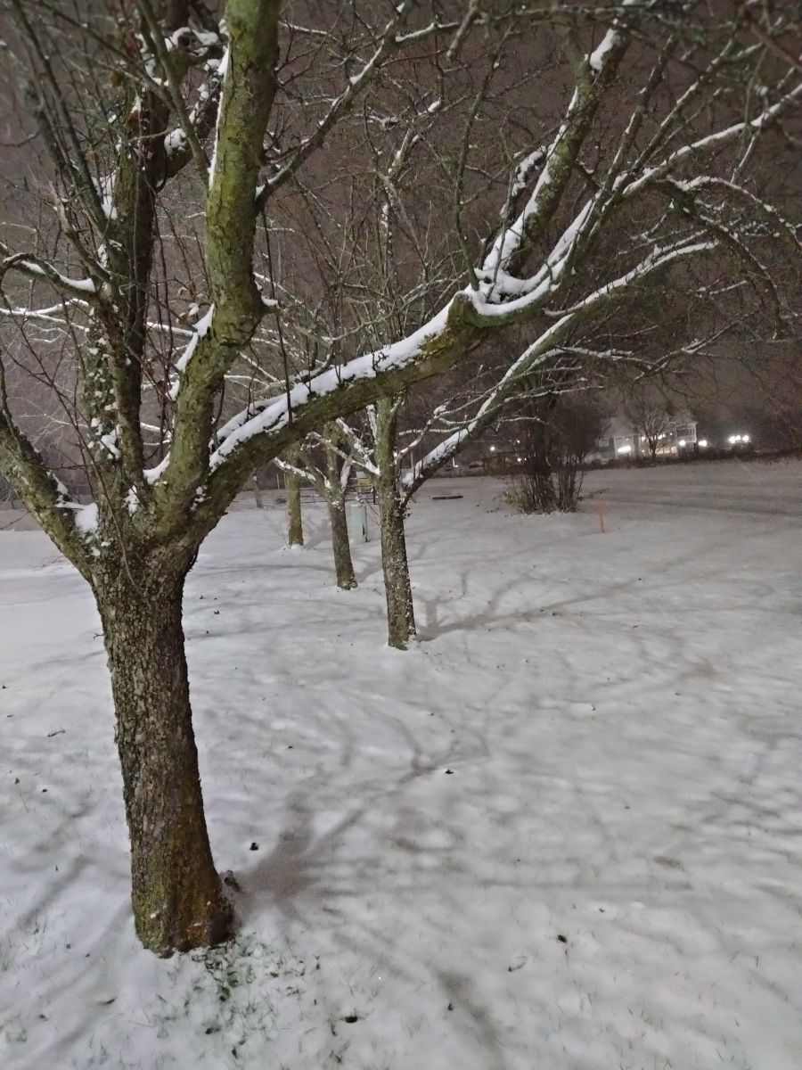 Photos météo à Indiana. Prévisions météo avec de superbes photos de Kate72