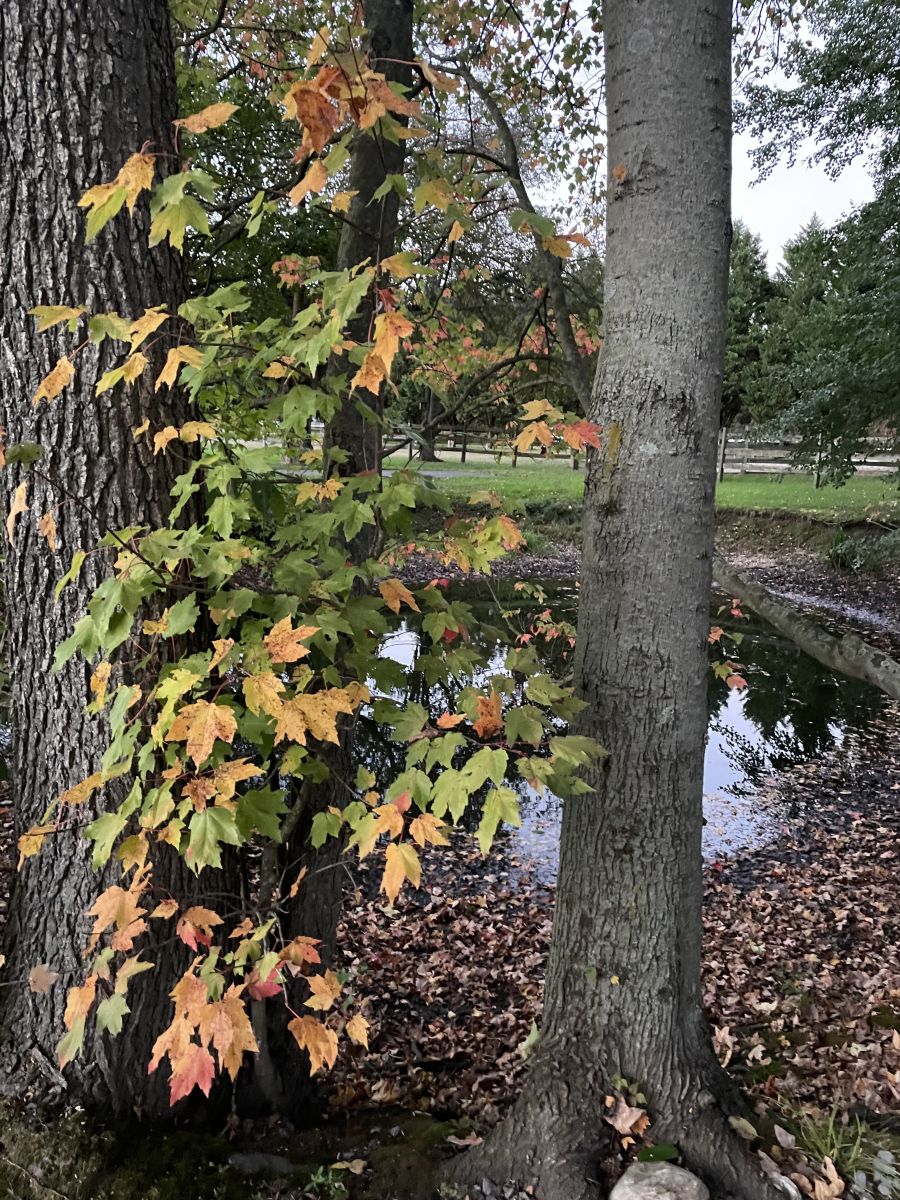 新泽西州的天气照片. 天气预报，带Kristina Elissa Bergman精美的照片