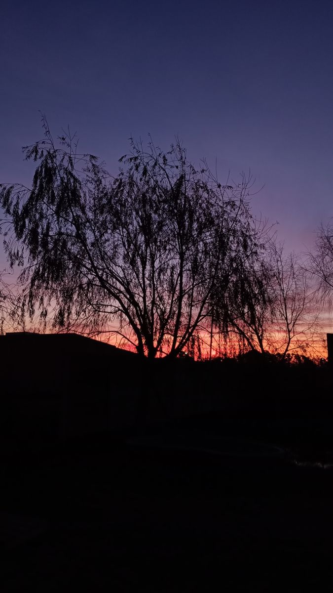 Photographer _Nubes, Weather Photos in Partido de Ensenada - Weawow