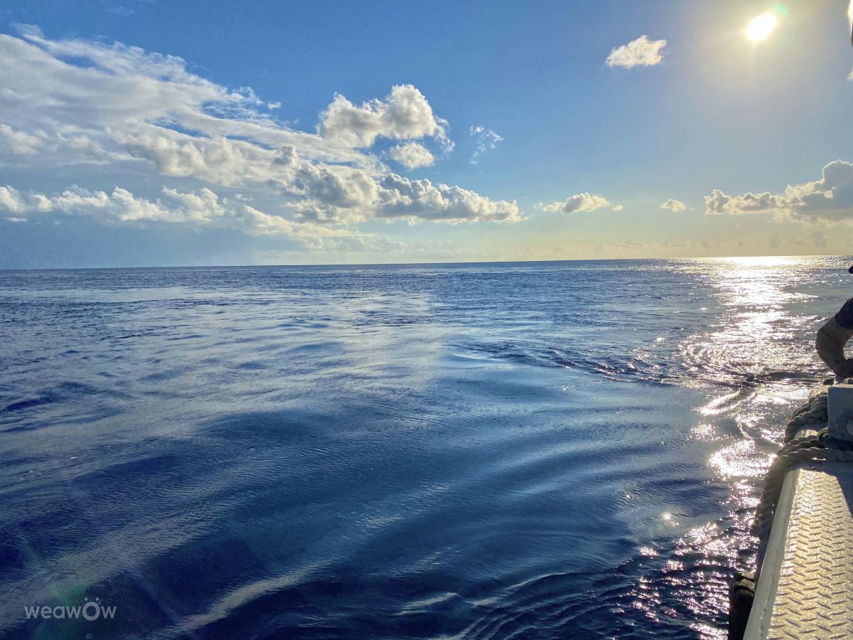 Weather Photos in Cayman Islands. Weather forecasts with beautiful photos by LadyLesa