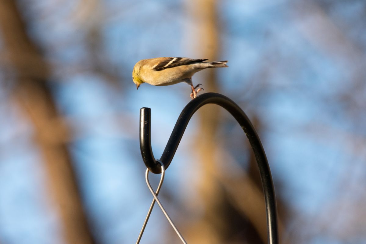 Фотограф krantzjh, Фотографии Погоды в Hanover - Weawow