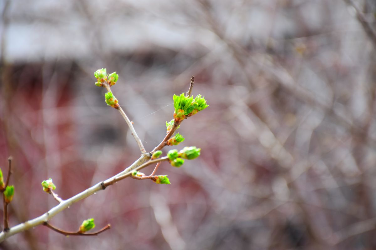 Photographer 1stEyeFocused, Weather Photos in Calgary - Weawow