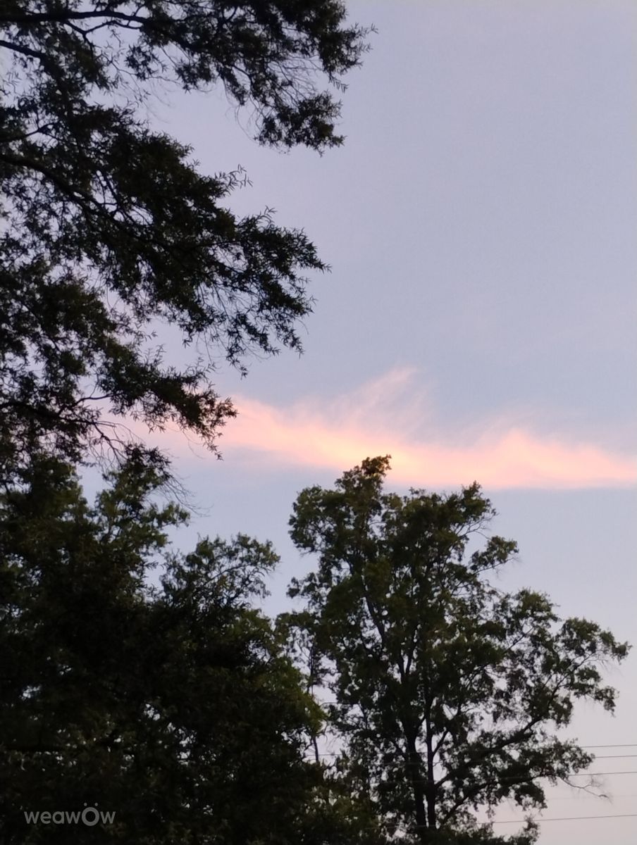 Weather Photos in Riverwalk Parkway. Weather forecasts with beautiful photos by Awcat