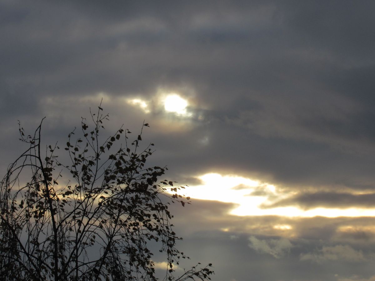 Fotos do tempo em Vitebsk. Previsões do tempo com lindas fotos de ЩипинЕвгений
