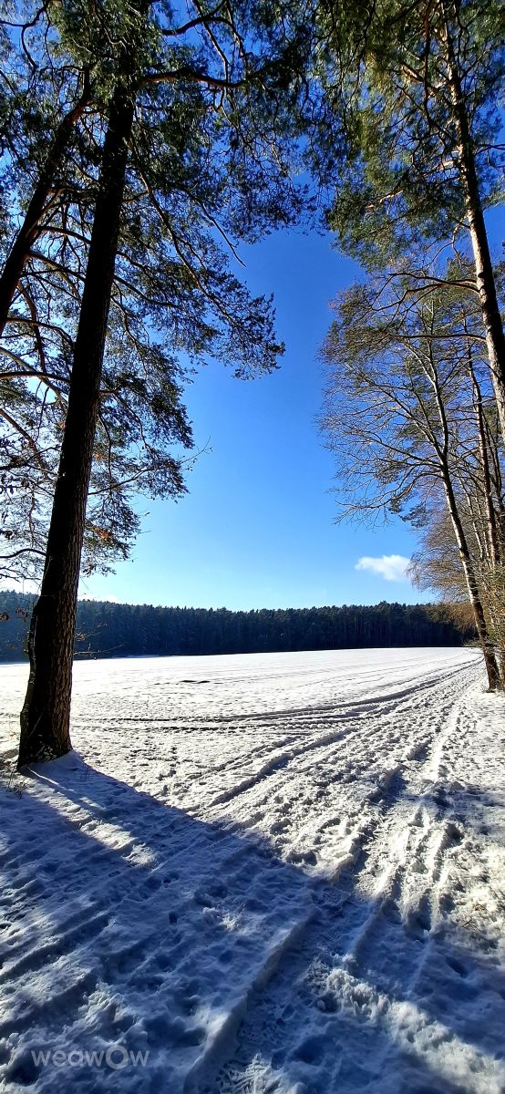 天气预报，带Steffi316精美的照片