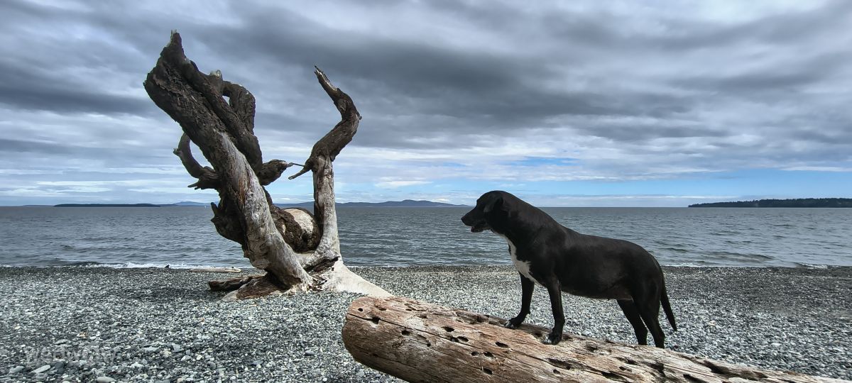 Pronósticos del tiempo con hermosas fotos de BijanZ