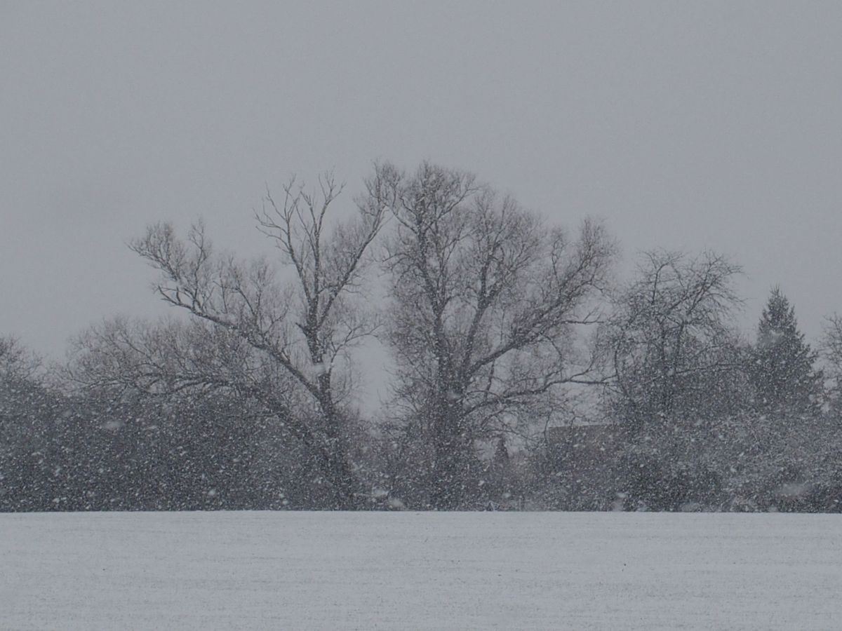 Photographer George Popo, Weather Photos in Úvaly - Weawow