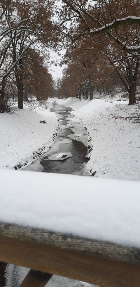Fotografos Piškot, Fotos do tempo em Bohunovice - Weawow