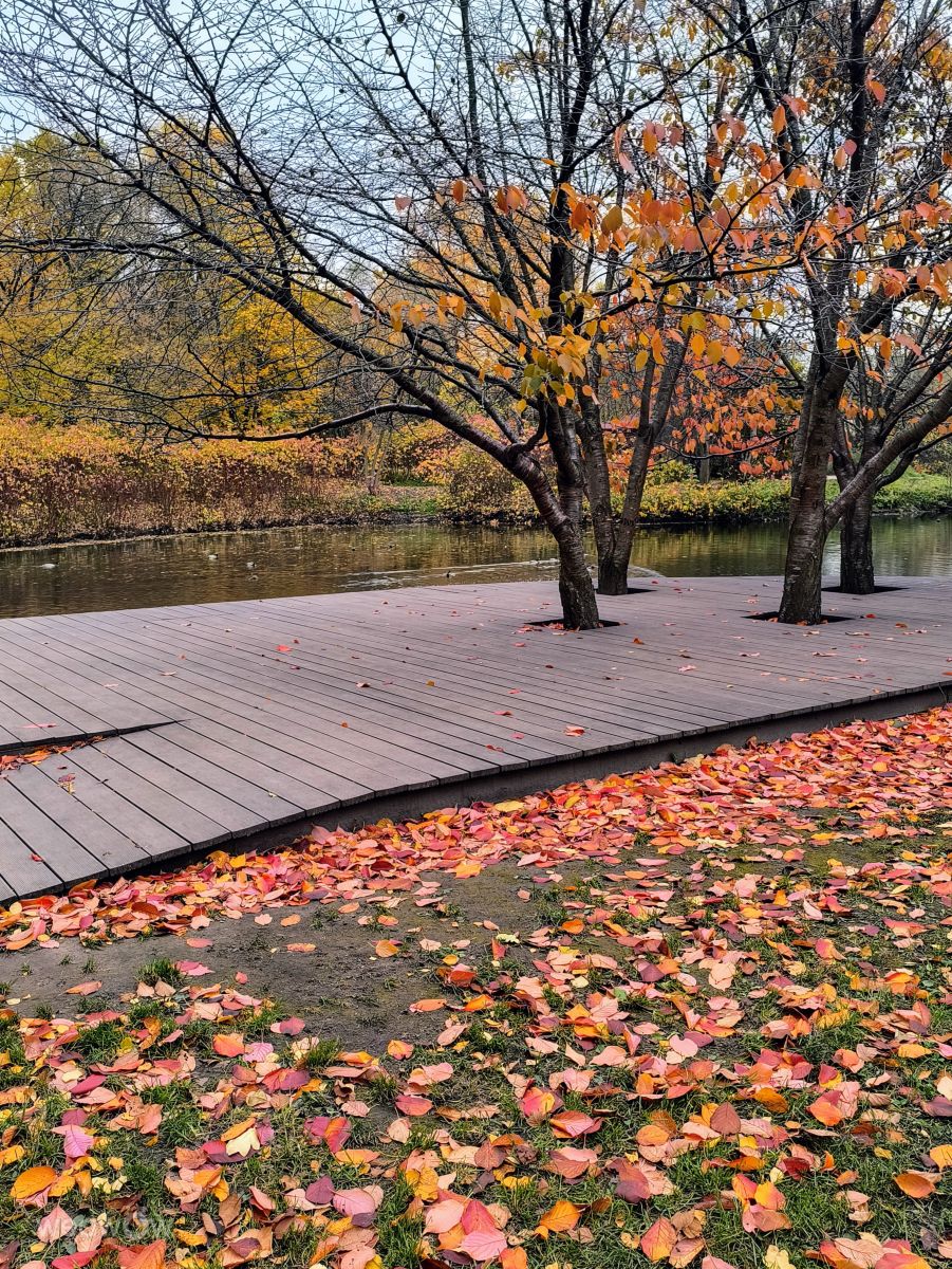 Photographer Jea, Weather Photos in Krestovsky Island - Weawow