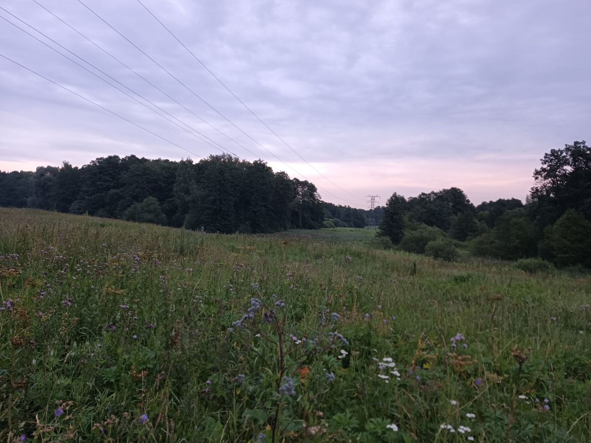 Photographer Amanda_and_Valdemar_Che, Weather Photos in Izmaylovo District - Weawow