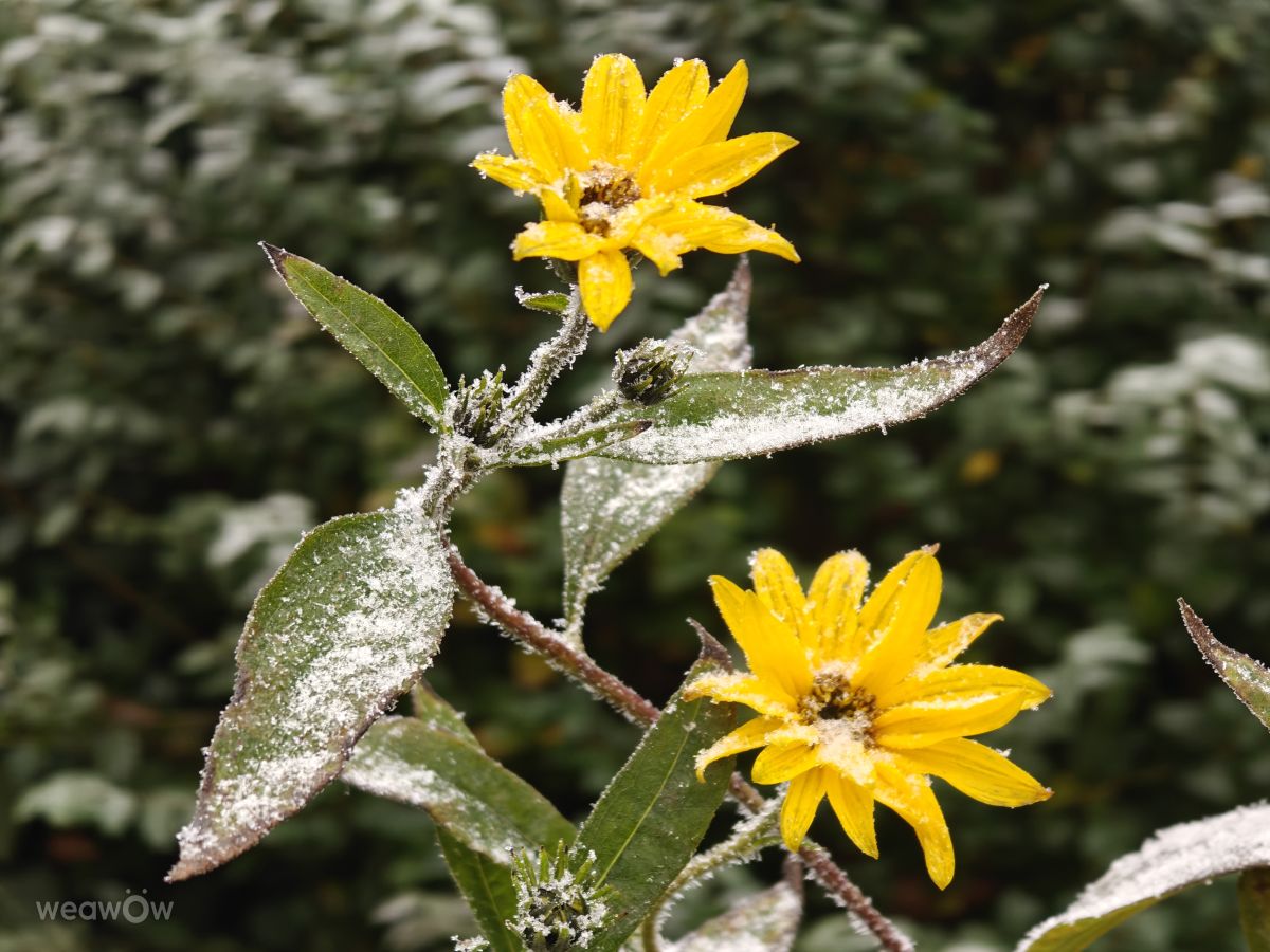 Dự báo thời tiết với những bức ảnh đẹp của Rosiii